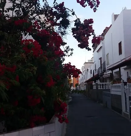 Lägenhet Calle Alberto Fernandez Galar *