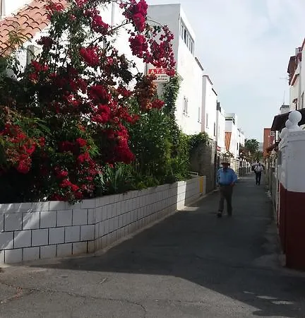 Calle Alberto Fernandez Galar * Playa del Inglés